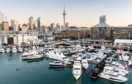 Untitled design (73)-1